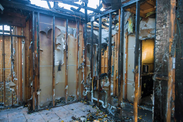 Professional Fire Damage Removal technician working in Wallace, FL